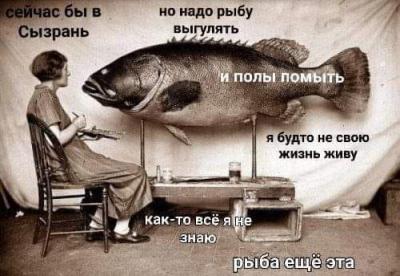 Прикрепленное изображение: 306918762_10160093069669153_5204937698832527962_n.jpg